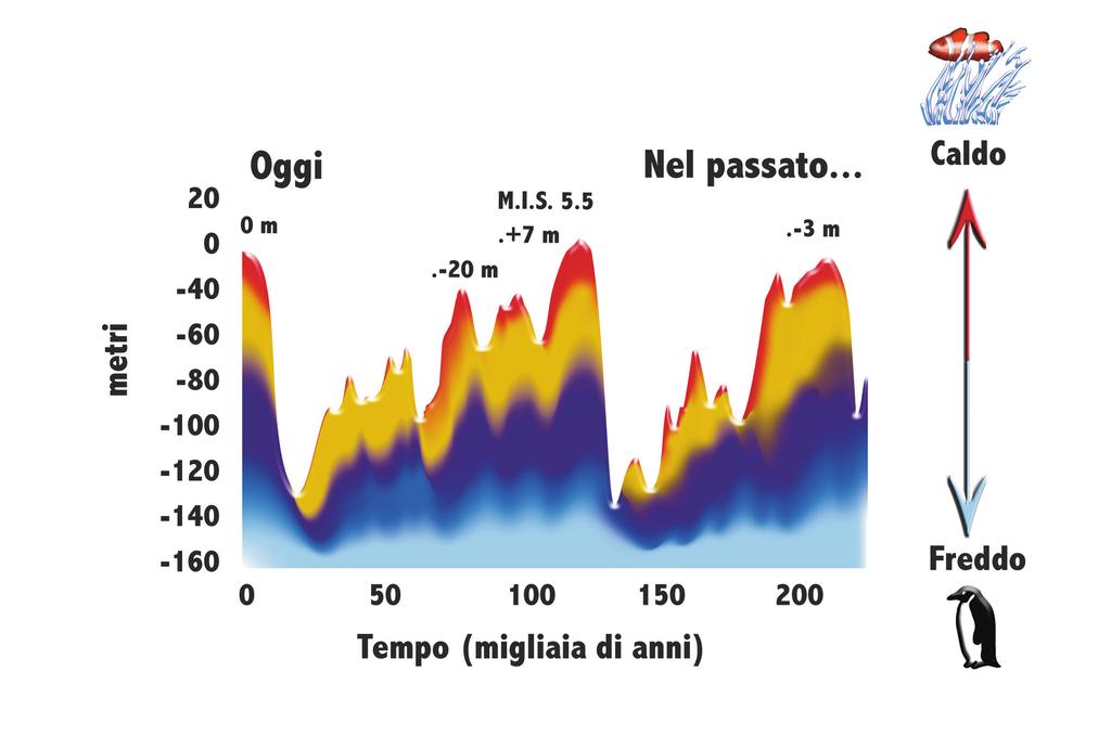 Variazioni del livello del mare nel Mediterraneo Il livello delle acque del Mediterraneo ha subito diverse oscillazioni