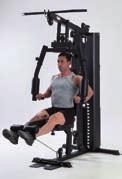 kick back, seated shoulder press, upright row, standing leg curl Dotazione maniglia e cavigliera per trazioni