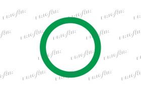 O'Ring, Valvole a spillo e Accessori vari - O'Ring 58.60057 O'Ring, Valvole a spillo e Accessori vari - O'Ring 58.60058 Descrizione: Saab Descrizione: Fiat Volvo Sezione (mm): 2.