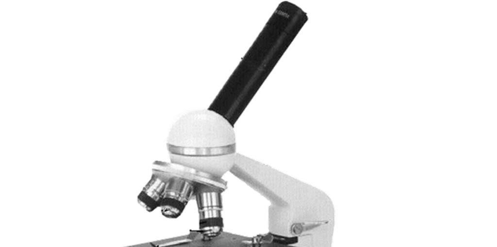 Lo strumento base del microbiologo: il microscopio Tubo