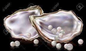 AKOYA FRESHWATER SOUTH SEA TAHITI PERLE CONCH PERLE MELO MELO PERLE ABALONE PERLE CORTEZ PERLE SCALLOP