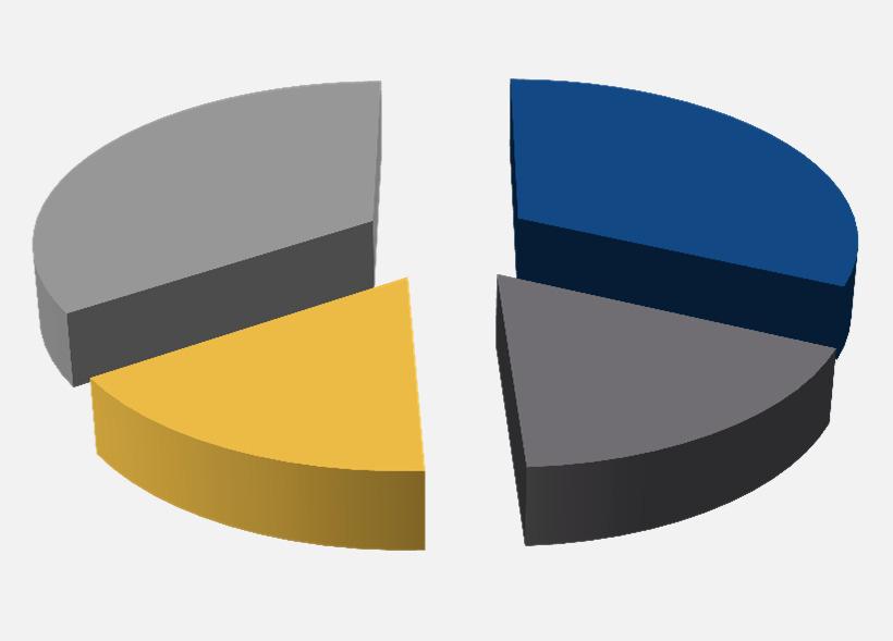 tiene conto che la lieve prevalenza del Meridione è determinata dalla presenza di famiglie più numerose 100% 90% 80% 70% 60% 50% 40% 30% 20% 10% 0%