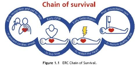 1 - Introduzione Il 28 novembre 2005 sono state pubblicate le nuove linee guida dell European Resuscitation Council per la Rianimazione Cardiopolmonare 2005.