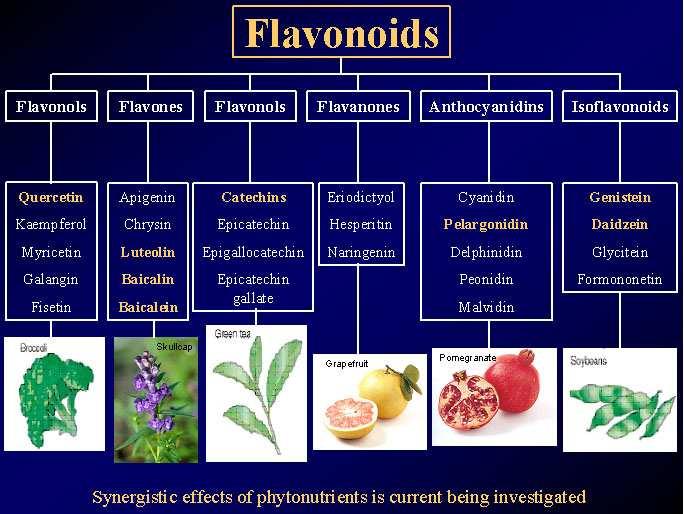 Tra i polifenoli flavonoidi acidi fenolici stilbeni e lignani Tra i flavonoidi isoflavoni