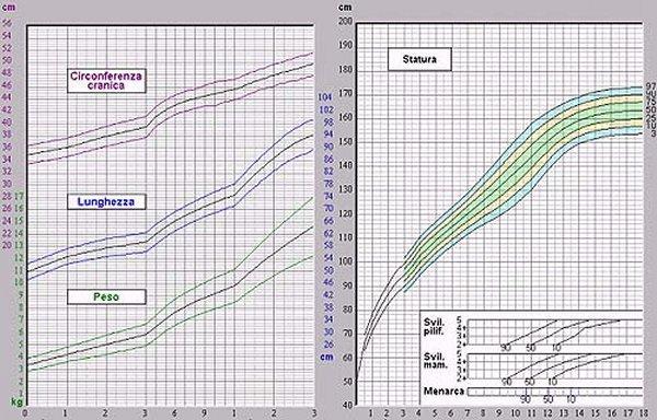 Grafici di Crescita Percentili I diagrammi percentili sono realizzati controllando il peso e l'altezza di migliaia di bambini di molte età diverse e poi