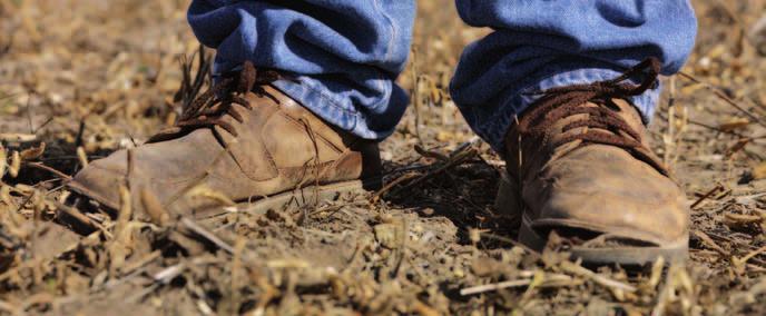 SCENARIO DI RIFERIMENTO Modelli di produzione per uno sviluppo agroalimentare sostenibile Da 20 anni, la produzione agricola globale sta aumentando in modo continuo ma spesso insufficiente a coprire