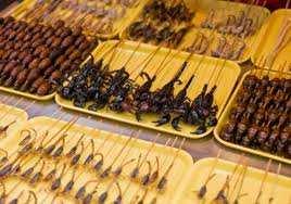 Oggi le istituzioni europee già prevedono l utilizzo di insetti nell alimentazione animali e dall 1 gennaio 2018 si apriranno le porte alla libera circolazione di alimenti a base di insetti