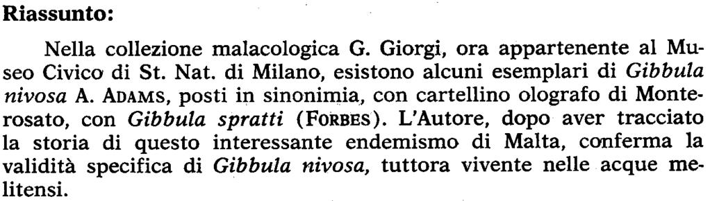 Conchiglie Milano (3-4) 79-88 marzo=aprile 1976 Fernando Ghisotti * CONSIDERAZIONI SU GIBBULA NIVOSA A. ADAMS, 1851 Riassunto: Nella collezione malacologica G.