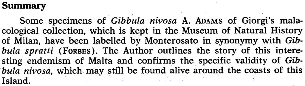 ADAMS, posti in sinonimia, con cartellino olografo di Monterosato, con Gibbula spratti (FORBES).