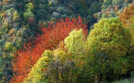 Jesen / Autunno obiskati t.i. årno hiæo s pritlehnim ognjiæåem; v vaæki cerkvici je moœen ogled kriœevega pota z napisi v slovenæåini. V Viskoræi v cerkvici sv. Trojice so ostanki fresk iz 16.