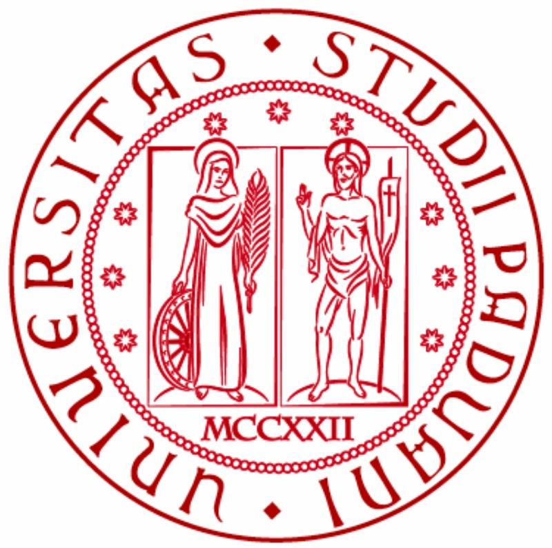 Università degli studi di Padova Dipartimento di Fisica e Astronomia Galileo Galilei Corso di Laurea Triennale in Fisica Simulazione di Monte Carlo del