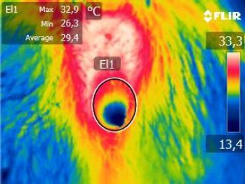 Ink) fornito in dotazione con la termocamera Per ogni soggetto è stata calcolata la temperatura minima, media e massima all interno di