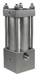 Regolatore di pressione manuale in acciaio inox Campo regolazione 0-60 bar Pressione