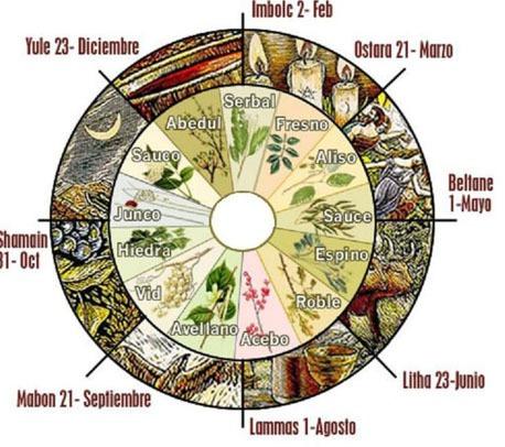 Calendario Celtico La scelta del simbolo da adottare ricadeva sull'albero perché era un elemento importante nella loro cultura, in quanto rappresentava sia il ciclo della vita, sia le tre parti del