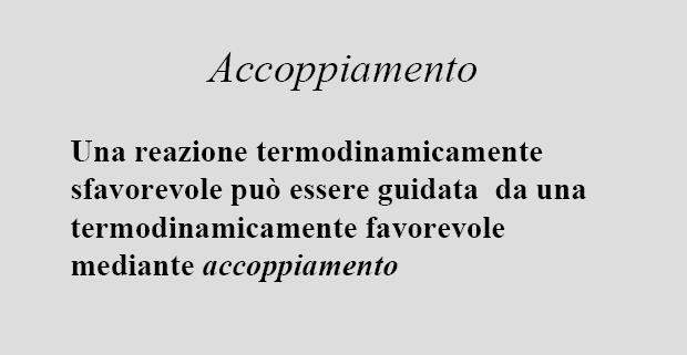 Fosforilazione del glucosio glucosio + P i (fosfato glucosio 6-fosfato inorganico) + H 2 O + + H2 O G = 13,8 kj/mol =