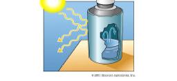 Sistema isolato Sistema chiuso Sistema aperto M E M E M E Gli organismi viventi sono sistemi APERTI: scambiano energia e materia con l