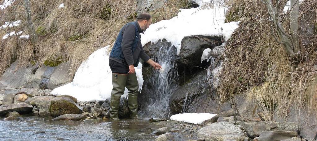 Noce Bianco osservazioni Assenza di indicatori rilevanti di inquinamento