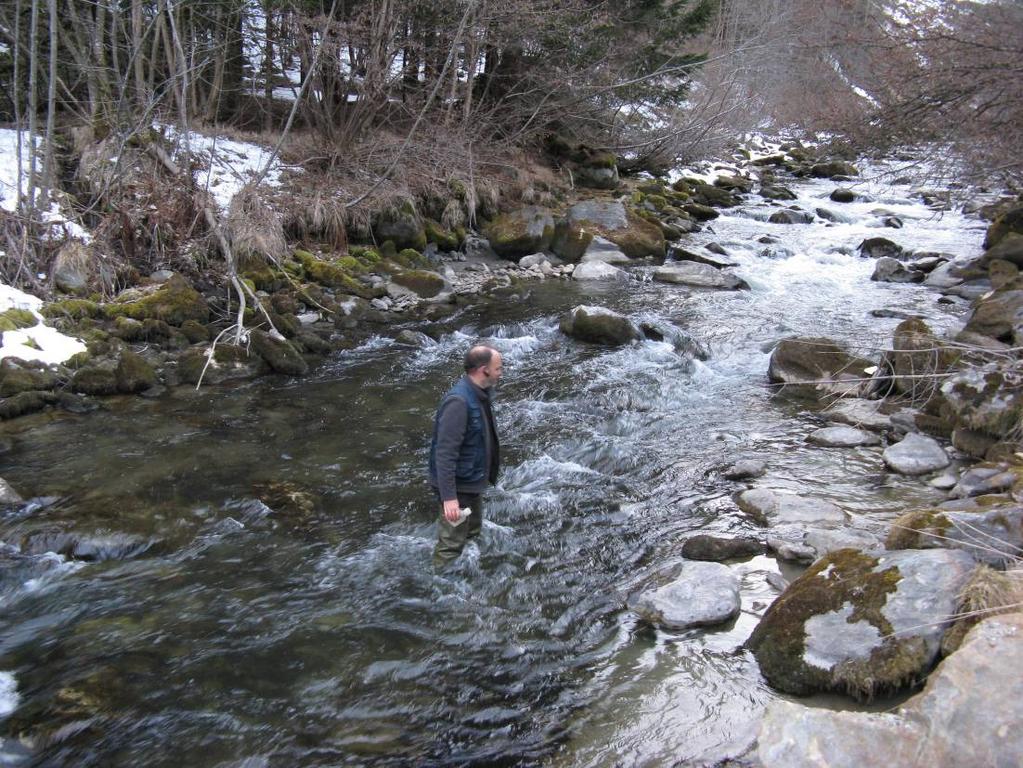 4.1.14 Stazione EC09 - Torrente Noce - Celentino monte Torrente Noce EC09 ora prelievo 17.