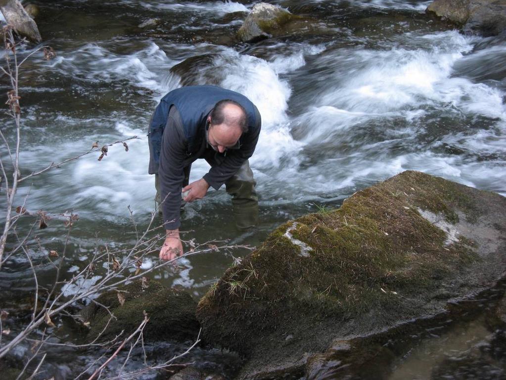 4.1.15 Stazione EC10 - Torrente Noce - Celentino valle Torrente Noce EC10 ora prelievo 17.35 indicativa 1000 l/s definizione ca.