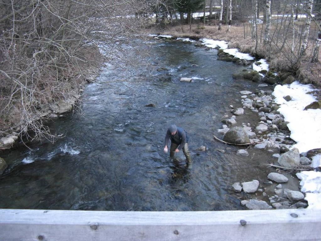 4.1.16 Stazione EC08 - Torrente Noce- Cusiano Torrente Noce EC08 ora prelievo 17.