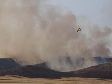 Rispetto ai dati registrati nel precedente anno, dunque, si può evidenziare nel 2009 un'ulteriore riduzione sia del numero di incendi che della superficie totale percorsa dal fuoco, confermando il