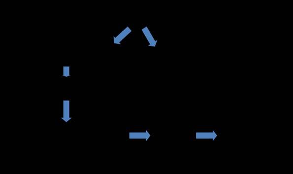 L impostazione del ciclo dei rifiuti urbani da Piano Regionale di Gestione RSU, adottato con Decreti C.D. n. 296/01 e n. 187/05, è illustrata nel flow-chart che segue. Fig.