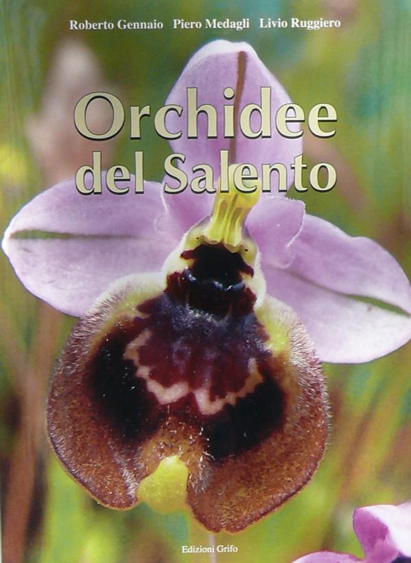 SCHEDA 1: ORCHIDEE DEL SALENTO Roberto Gennaio Le orchidee fanno parte della flora spontanea e crescono non solo del Salento, ma in tutta la Puglia, in habitat non ancora contaminati costituiti da