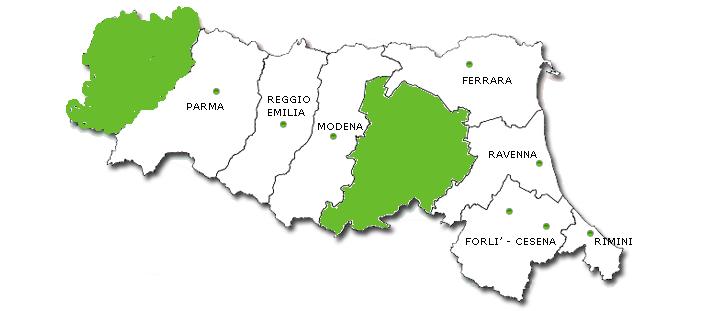 Registri tumori generali e di patologia attivi in Regione Emilia-Romagna PIACENZA 2004-2006 BOLOGNA 1997-2005