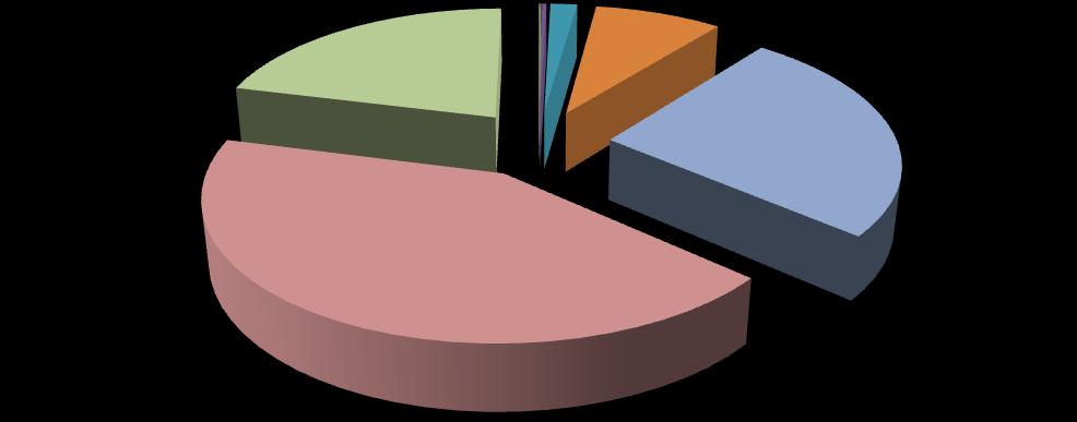 Fig.2 Classe di addetti imprese femminili al 31/12/2012 4% 2% 27% 24% 0% 0% 0% 42% 0 addetti 1 addetto 2-5 addetti 6-9 addetti 10-19 addetti 20-49 addetti 50-99 addetti 100-249 addetti 250-499