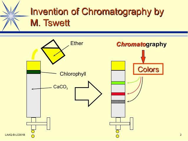 Egli intuì che la separazione era dovuta alla diversa affinità dei componenti per il carbonato di calcio NASCITA DELLA CROMATOGRAFIA Inizi del XX secolo come tecnica per la separazione di pigmenti