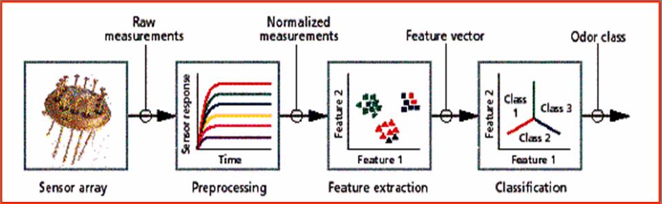 Analisi qualitative su miscele complesse Raw Measurements