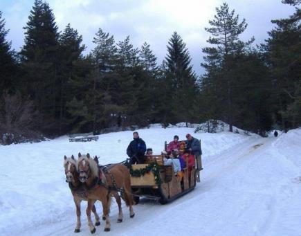 !!!!!! 1 GIORNO: GIOVEDI 8 DICEMBRE MERCATINI LAGO DI COMO - VALTELLINA Ritrovo dei partecipanti in orario e luogo da concordare, sistemazione in Pullman GT ALA BUS e partenza per per il LAGO DI COMO