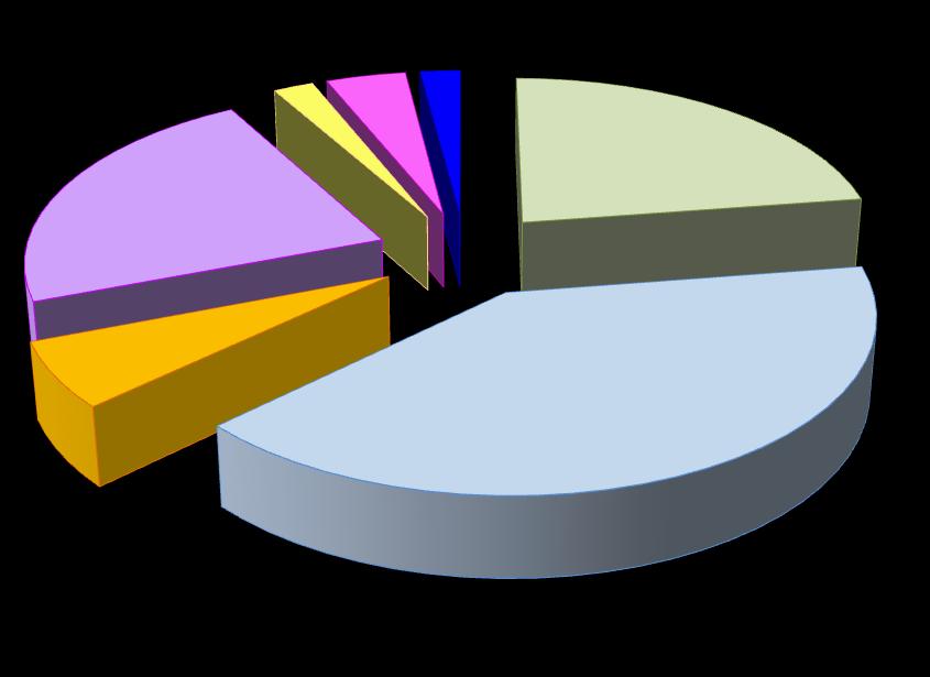 COMPARTO ALTRO GRAFICO 5. VALORI IN PERCENTUALE 2,04% 4,08% 2,04% 22,44% 22,44% da 1 a 10 lav. da 11 a 25 lav. da 26 a 50 lav. 6,12% da 51 a 100 lav. da 101 a 250 lav. 40,01% da 251 a 500 lav.