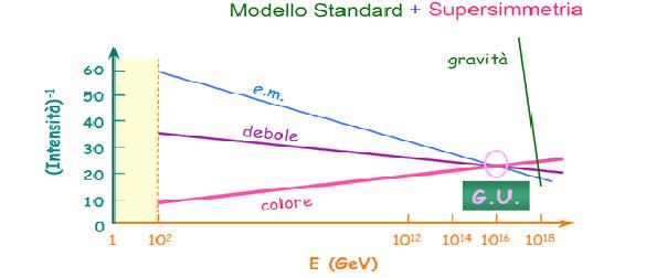 Il Modello