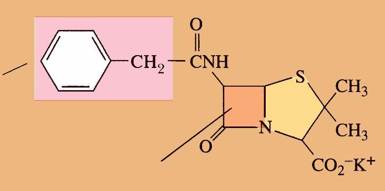 Penicilline e Cefalosporine Antibiotici con attività battericida Le