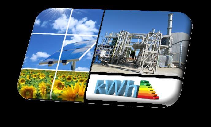 Produzione di energia elettrica e protezione dell ambiente Razionalizzazione e risparmio nell