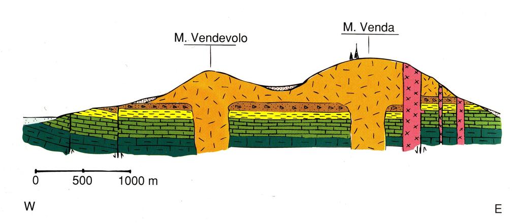 M. VENDA M.