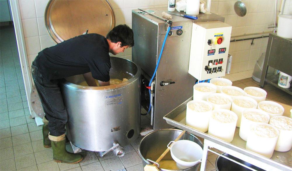 allevamento stanziale finalizzato alla produzione di formaggio pecorino