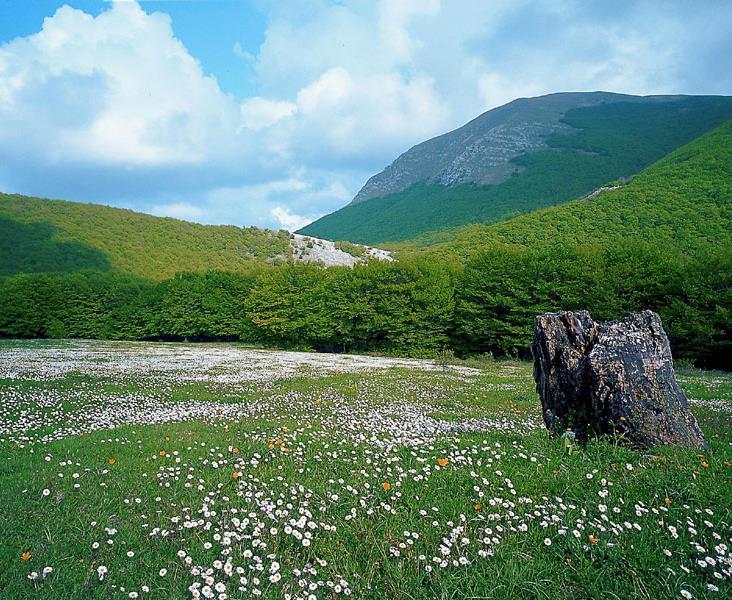 Il Parco del Monte Cucco Ma a pochi km da Gubbio c è un altra meraviglia naturale: il Parco