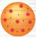Particella (simbolo simbolo) Particelle subatomiche Carica assoluta Carica relativa Massa assoluta Massa relativa Protone (p) +1.60 10 10-19 19 C +1 1.672 10-24 24 g 1.0073 Elettrone (e) -1.
