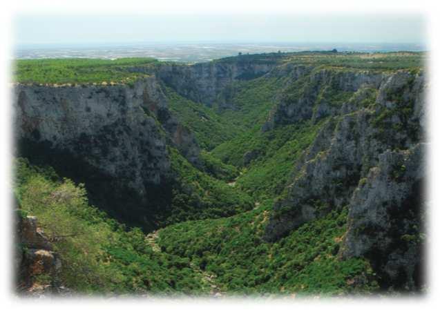 L areale dei cinque