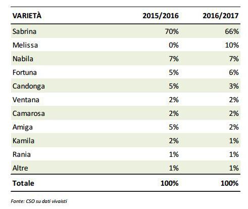 CAMPANIA SUD/SOUTH ITALY NELLA REGIONE