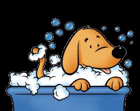 MANTI LUNGHI MANTI CORTI CUCCIOLI E ANZIANI PROBLEMI DI CUTE Lo Shampoo Manti Lunghi è l ideale per l igiene e la bellezza dei cani