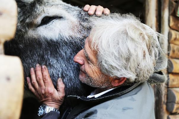 animali a due passi da Piazza San Pietro e sperimentare le attività