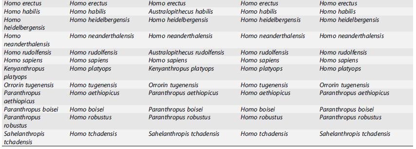 genere Homo 6 Ma 9