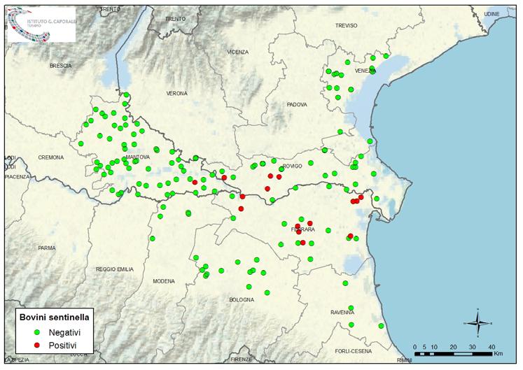 Figura 5. Distribuzione geografica delle sentinelle bovine esaminate per WND Allevamenti sentinella Bovini sentinella Regione Provincia Testati Positivi % (95% l.c.) Testati Positivi % (95% l.c.) Emilia Romagna Bologna 13 0 0% (0.