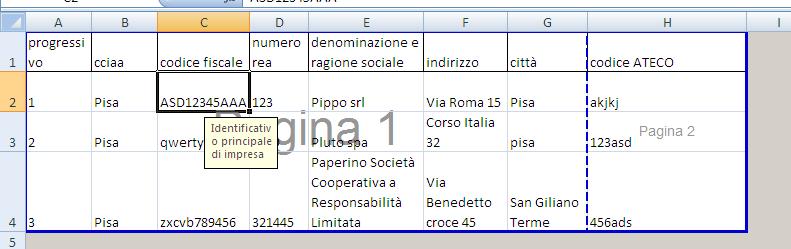 Di seguito è riportato un esempio di formattazione: Formattazione corretta: Formattazione NON corretta: Si consiglia al termine dell