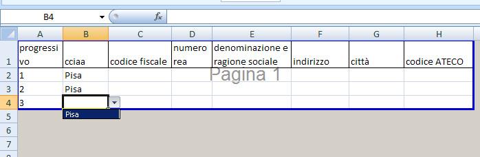 1.3 Descrizione del modello di file pre-formattato allegatob.