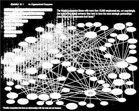 (1998), The Trillion-Dollar Enterprise: how the alliance revolution will transform global business, Perseus Books, NY Perché l ecologia