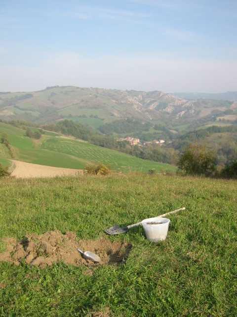 SCHEDA 15 Punto di campionamento: 15 Denominazione: Vezzano Zona: Pecorile- via Monte si tratta di un terreno sulle colline di